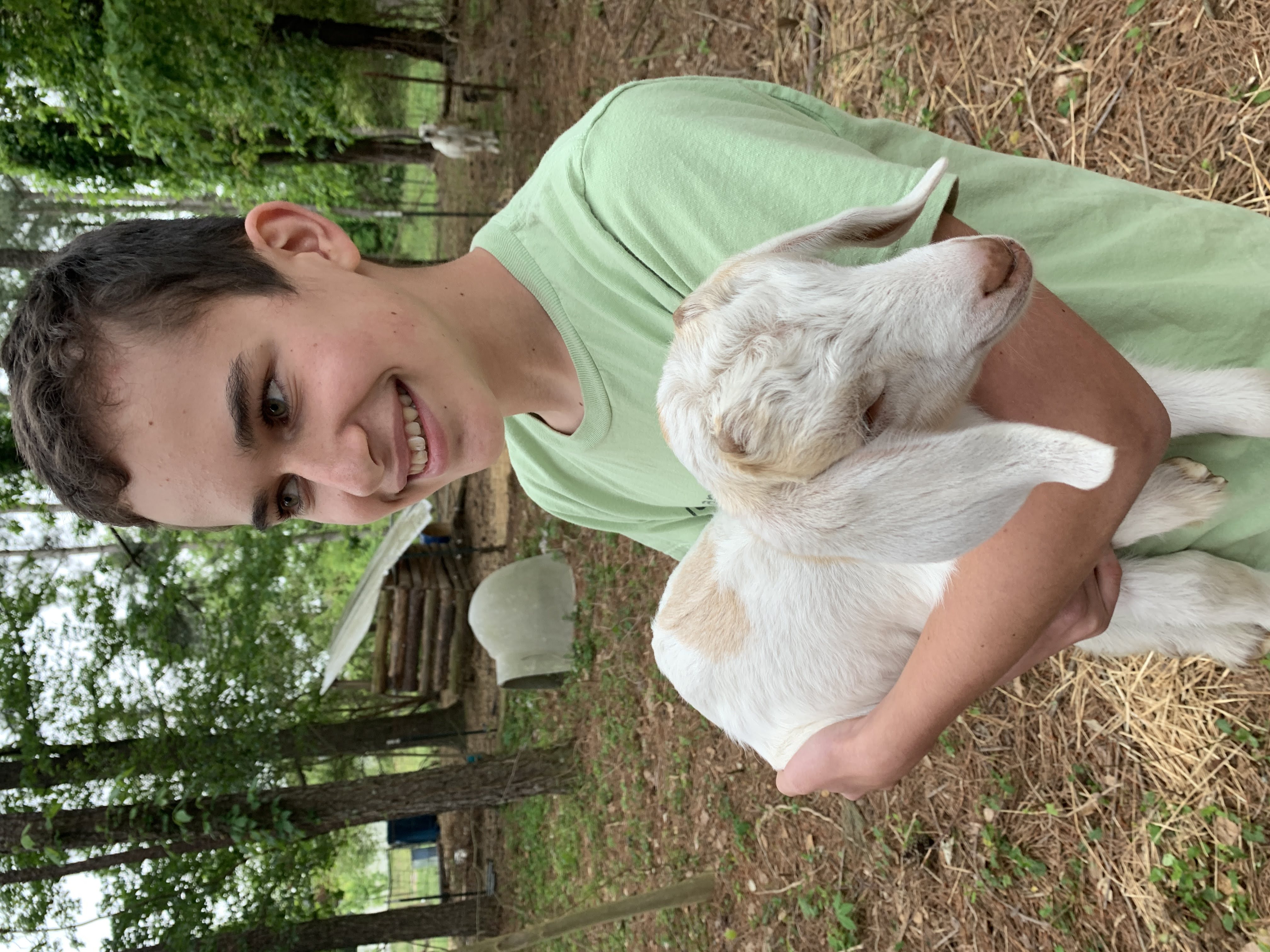 baby goaties